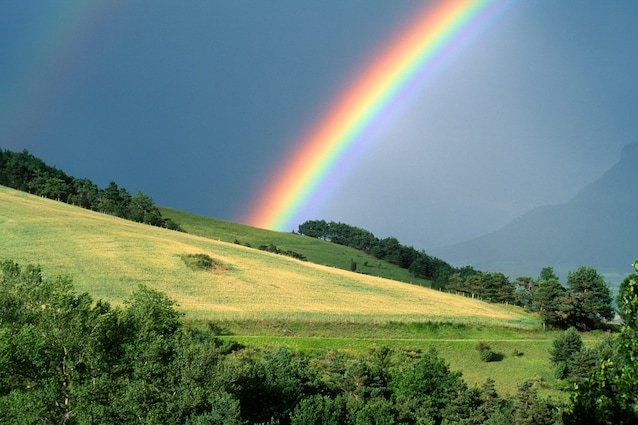 Immagine