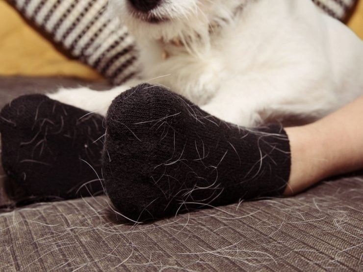 Lint Roller Riutilizzabile - Rimuovi Peli Da Vestiti, Divani E Tappeti