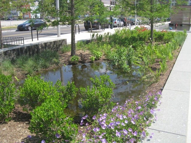 giardino-di-pioggia-in-strada-urbana
