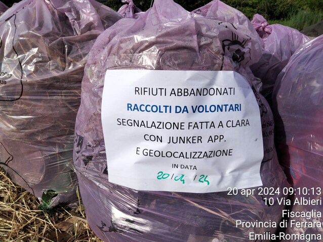 Immagine