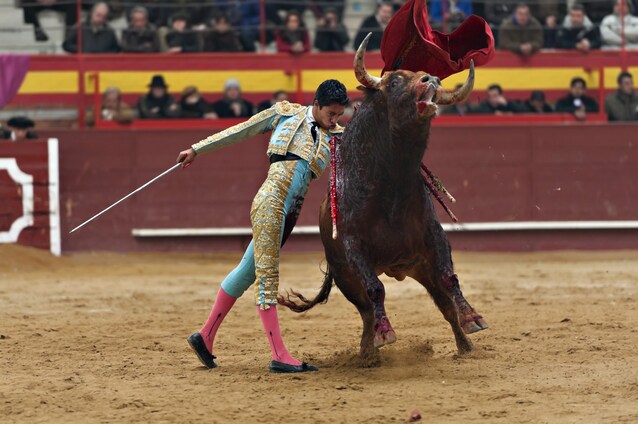 colombia vieta la corrida