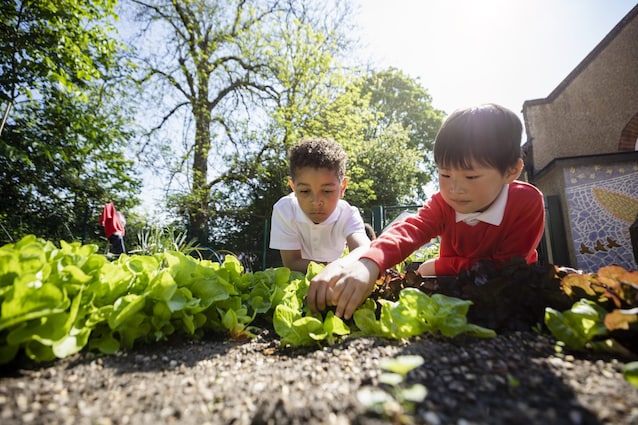 istruzione green happiness