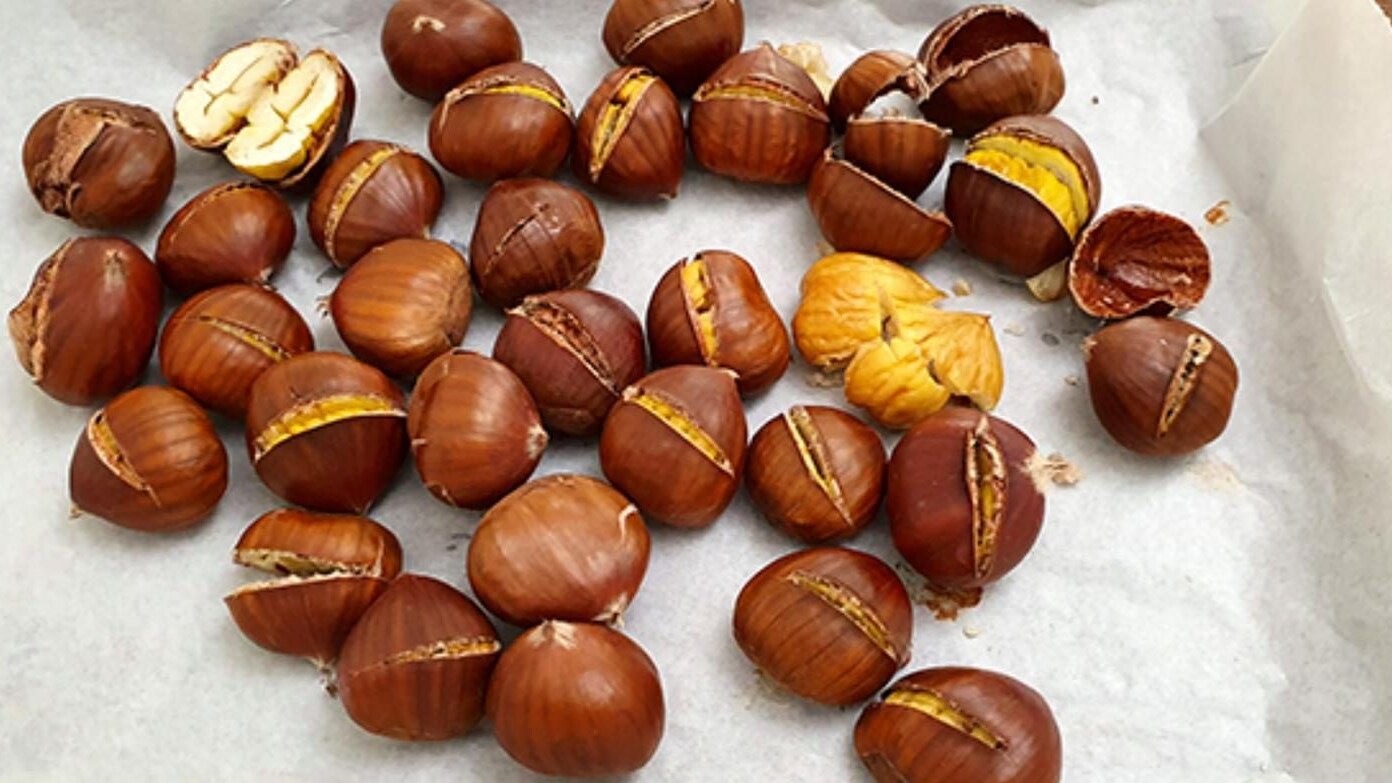 cuocere castagne