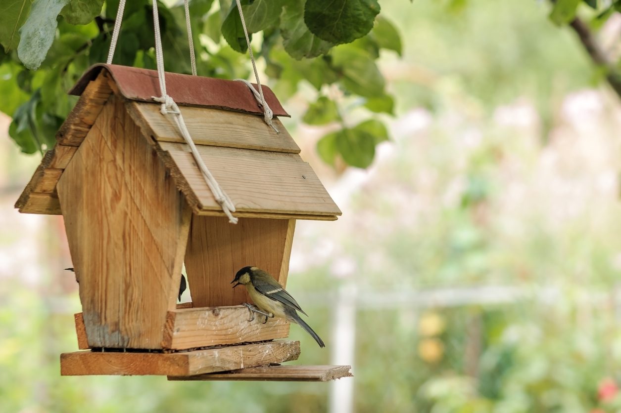Babelaa! Abbeveratoio per uccelli in ghisa, da giardino, per uccelli, acqua, per uccelli