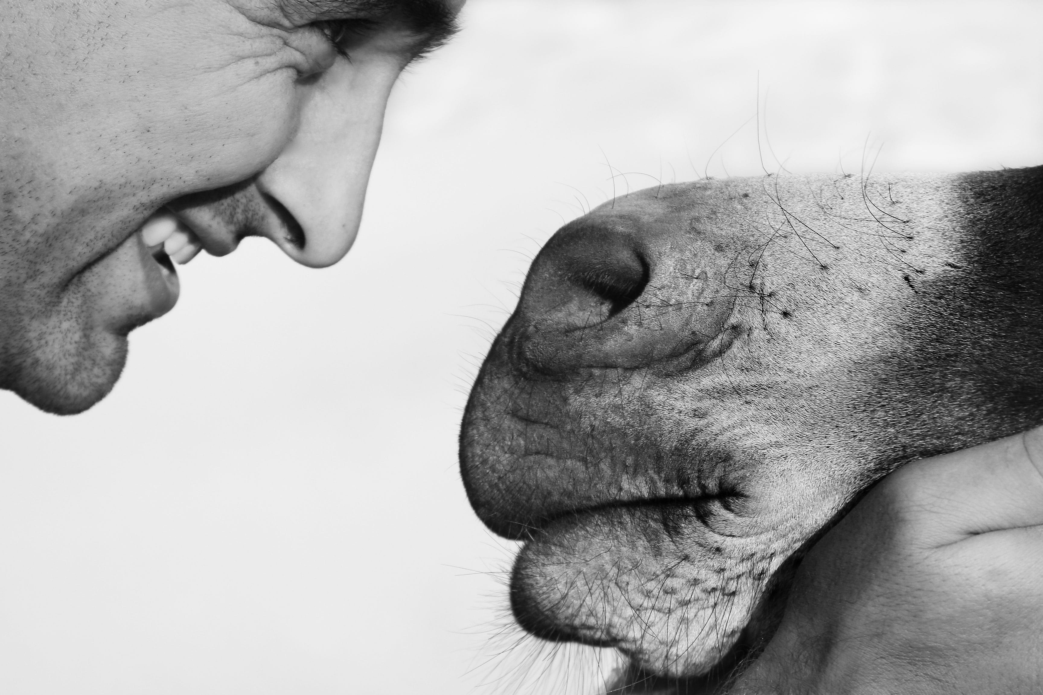 Perché solo gli esseri umani hanno il mento? | Ohga!